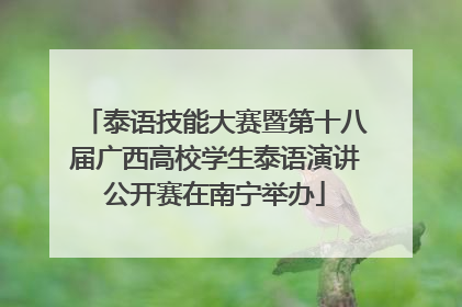 泰语技能大赛暨第十八届广西高校学生泰语演讲公开赛在南宁举办