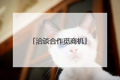 洽谈合作觅商机