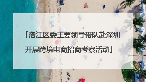 洛江区委主要领导带队赴深圳开展跨境电商招商考察活动