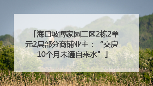 海口坡博家园二区2栋2单元2层部分商铺业主：“交房10个月未通自来水”