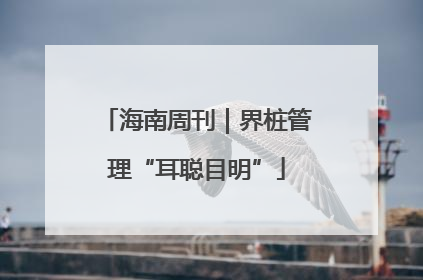 海南周刊｜界桩管理“耳聪目明”