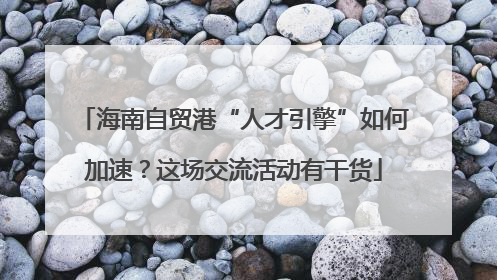 海南自贸港“人才引擎”如何加速？这场交流活动有干货