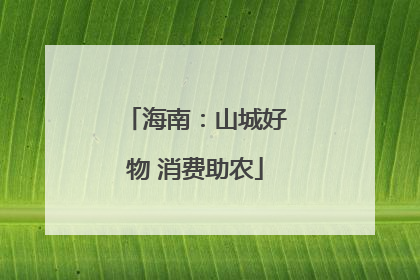 海南：山城好物 消费助农