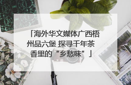 海外华文媒体广西梧州品六堡 探寻千年茶香里的“乡愁味”
