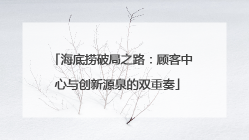海底捞破局之路：顾客中心与创新源泉的双重奏