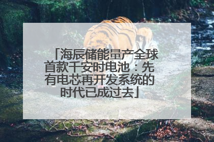 海辰储能量产全球首款千安时电池：先有电芯再开发系统的时代已成过去