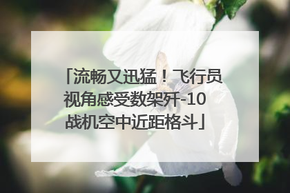 流畅又迅猛！飞行员视角感受数架歼-10战机空中近距格斗