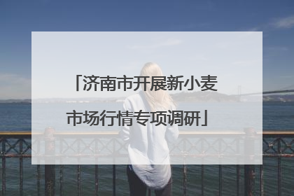 济南市开展新小麦市场行情专项调研