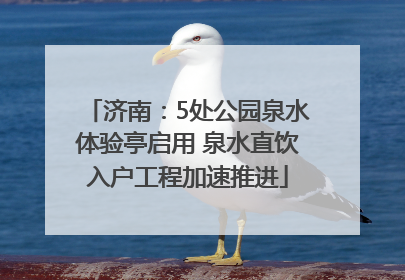 济南：5处公园泉水体验亭启用 泉水直饮入户工程加速推进