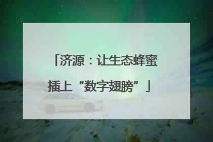济源：让生态蜂蜜插上“数字翅膀”