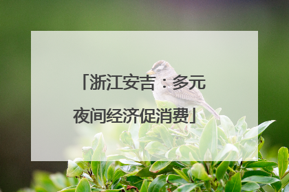 浙江安吉：多元夜间经济促消费