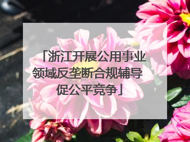 浙江开展公用事业领域反垄断合规辅导 促公平竞争