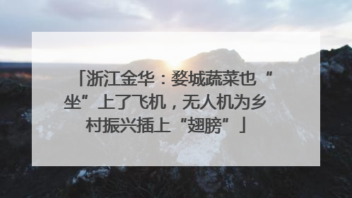 浙江金华：婺城蔬菜也“坐”上了飞机，无人机为乡村振兴插上“翅膀”