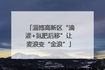 淄博高新区“滴灌+氮肥后移”让麦浪变“金浪”