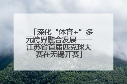 深化“体育+”多元跨界融合发展——江苏省首届匹克球大赛在无锡开赛