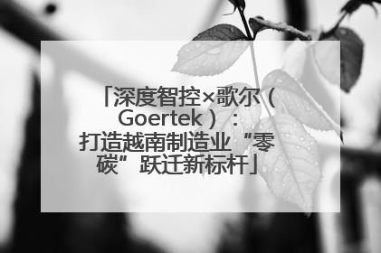 深度智控×歌尔（Goertek）：打造越南制造业“零碳”跃迁新标杆