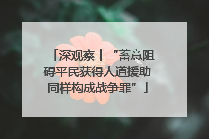 深观察丨“蓄意阻碍平民获得人道援助同样构成战争罪”
