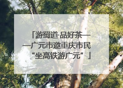 游蜀道·品好茶——广元市邀重庆市民“坐高铁游广元”