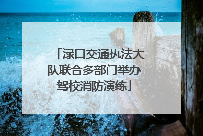 渌口交通执法大队联合多部门举办驾校消防演练