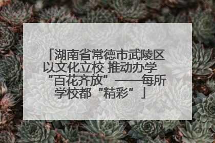 湖南省常德市武陵区以文化立校 推动办学“百花齐放”——每所学校都“精彩”