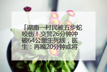 湖南一村民被五步蛇咬伤！交警26分钟冲破64公里生死线，医生：再晚20分钟或将呼吸肌麻痹