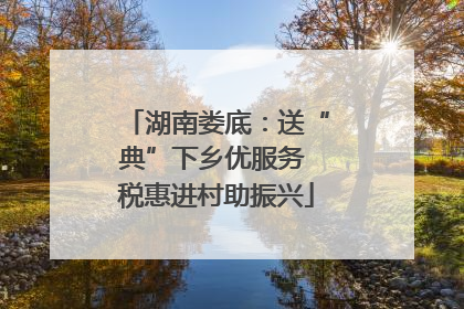 湖南娄底：送“典”下乡优服务 税惠进村助振兴