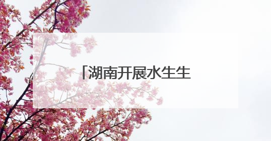 湖南开展水生生物增殖放流活动