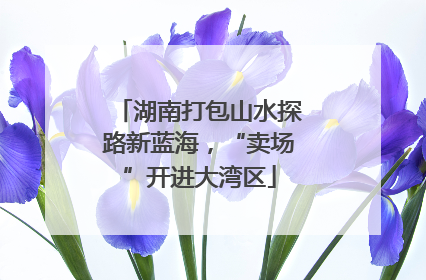 湖南打包山水探路新蓝海，“卖场”开进大湾区