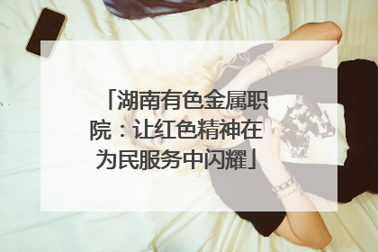 湖南有色金属职院：让红色精神在为民服务中闪耀