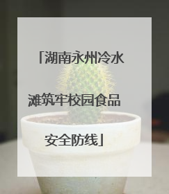 湖南永州冷水滩筑牢校园食品安全防线