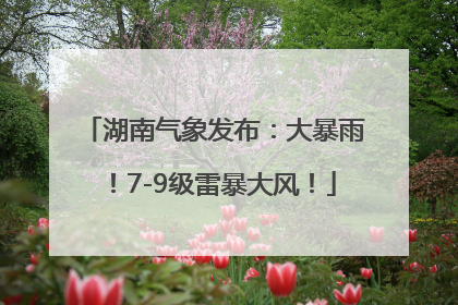 湖南气象发布:大暴雨!7-9级雷暴大风!