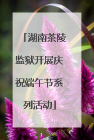 湖南茶陵监狱开展庆祝端午节系列活动