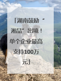 湖南鼓励“湘品”出境！单个企业最高支持100万元