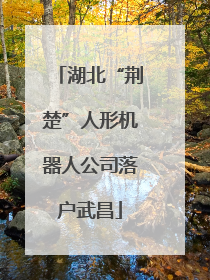 湖北“荆楚”人形机器人公司落户武昌