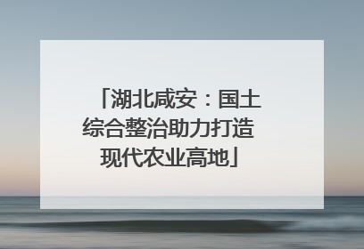 湖北咸安：国土综合整治助力打造现代农业高地