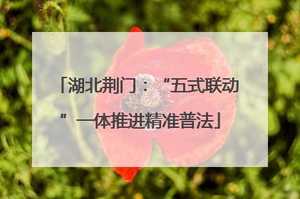 湖北荆门：“五式联动”一体推进精准普法