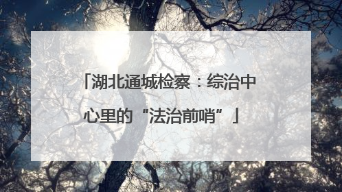 湖北通城检察：综治中心里的“法治前哨”