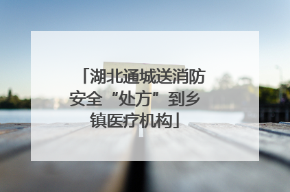 湖北通城送消防安全“处方”到乡镇医疗机构