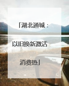 湖北通城：以旧换新激活消费热