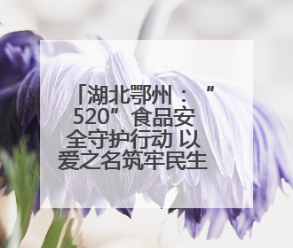 湖北鄂州：“520”食品安全守护行动 以爱之名筑牢民生防线