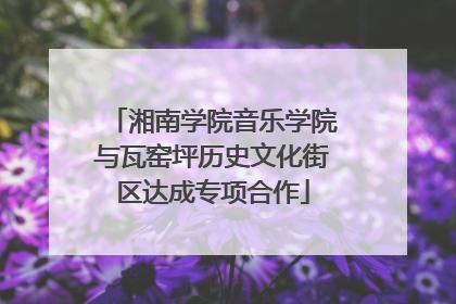 湘南学院音乐学院与瓦窑坪历史文化街区达成专项合作