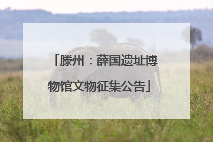 滕州：薛国遗址博物馆文物征集公告