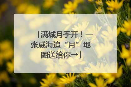 满城月季开！一张威海追“月”地图送给你→
