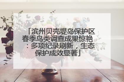 滨州贝壳堤岛保护区春季鸟类调查成果惊艳：多项纪录刷新，生态保护成效显著