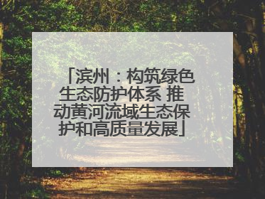 滨州：构筑绿色生态防护体系 推动黄河流域生态保护和高质量发展
