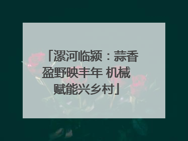 漯河临颍：蒜香盈野映丰年 机械赋能兴乡村