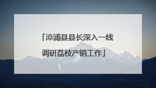 漳浦县县长深入一线调研荔枝产销工作