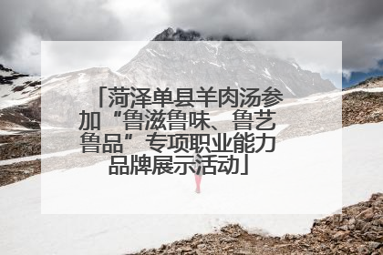 菏泽单县羊肉汤参加“鲁滋鲁味、鲁艺鲁品”专项职业能力品牌展示活动