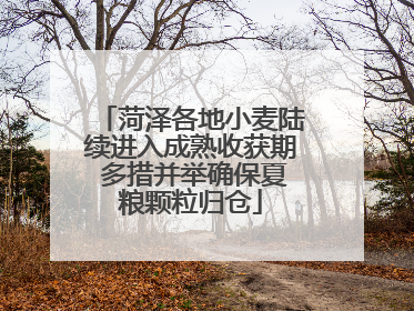 菏泽各地小麦陆续进入成熟收获期 多措并举确保夏粮颗粒归仓