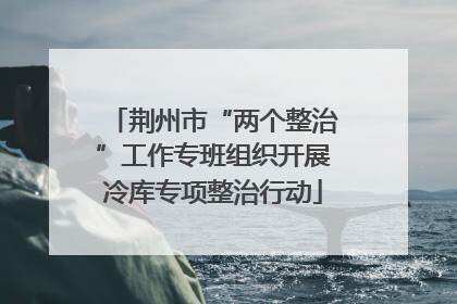 荆州市“两个整治”工作专班组织开展冷库专项整治行动